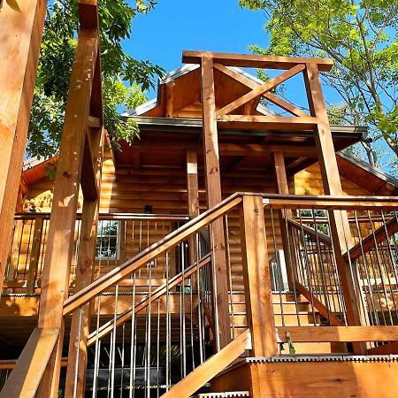 Cricket Hill Treehouse By Amish Country Lodging 밀러스버그 외부 사진