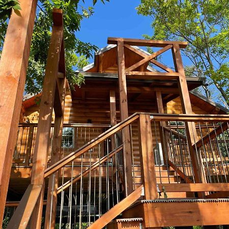 Cricket Hill Treehouse By Amish Country Lodging 밀러스버그 외부 사진