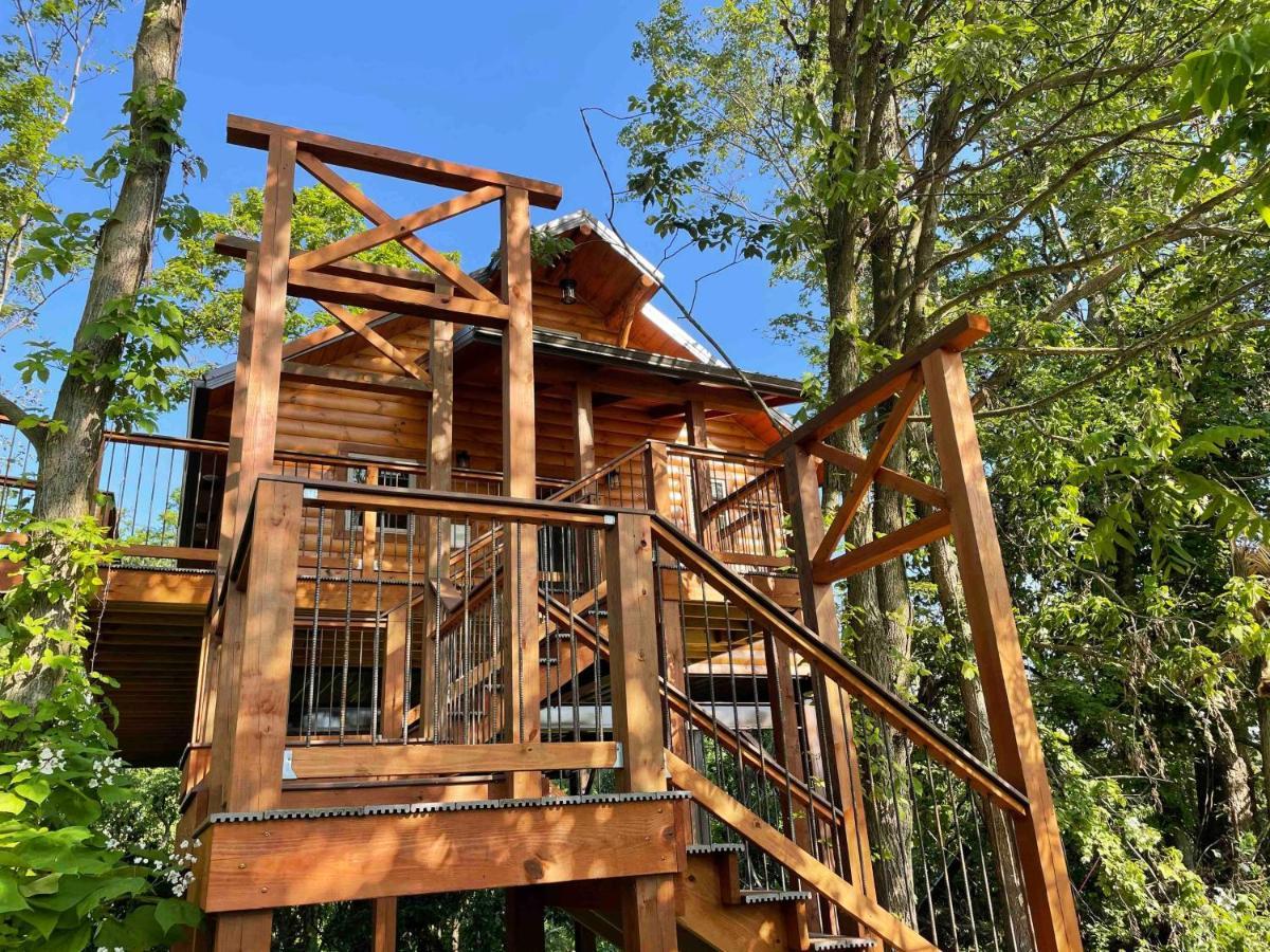 Cricket Hill Treehouse By Amish Country Lodging 밀러스버그 외부 사진
